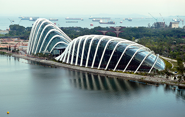 Flower-Dome-Gardens-by-Bay-Singapore111